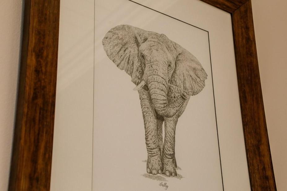 Knysna Elephant Park Lodge Plettenberg Bay Exteriör bild