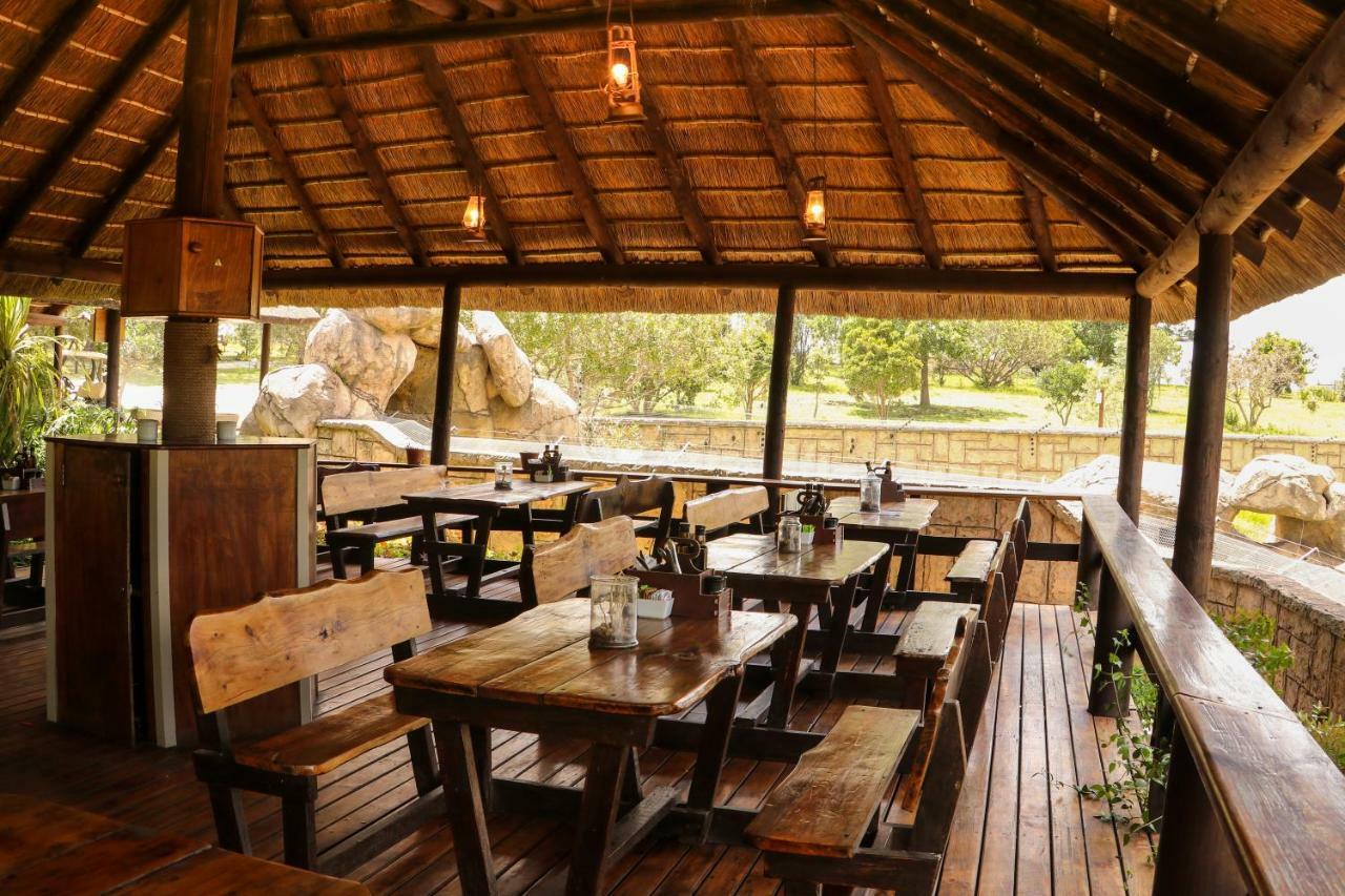 Knysna Elephant Park Lodge Plettenberg Bay Exteriör bild